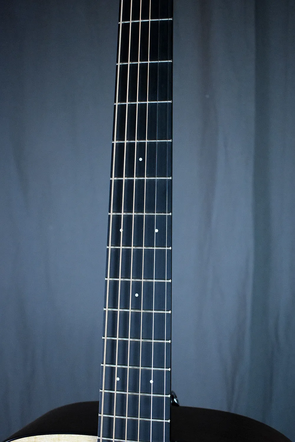 2014 Martin DRSGT
